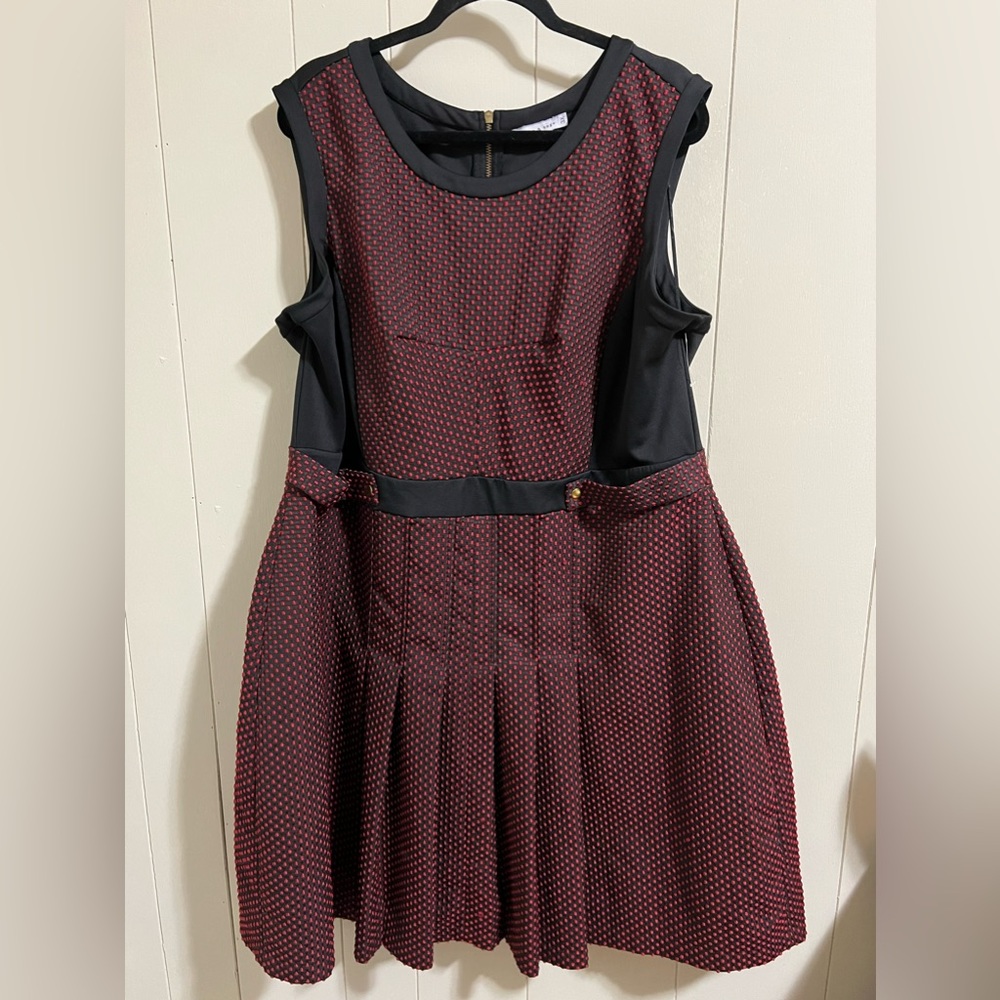 Black and Red Sleeveless Fit and Flare Mini Dress